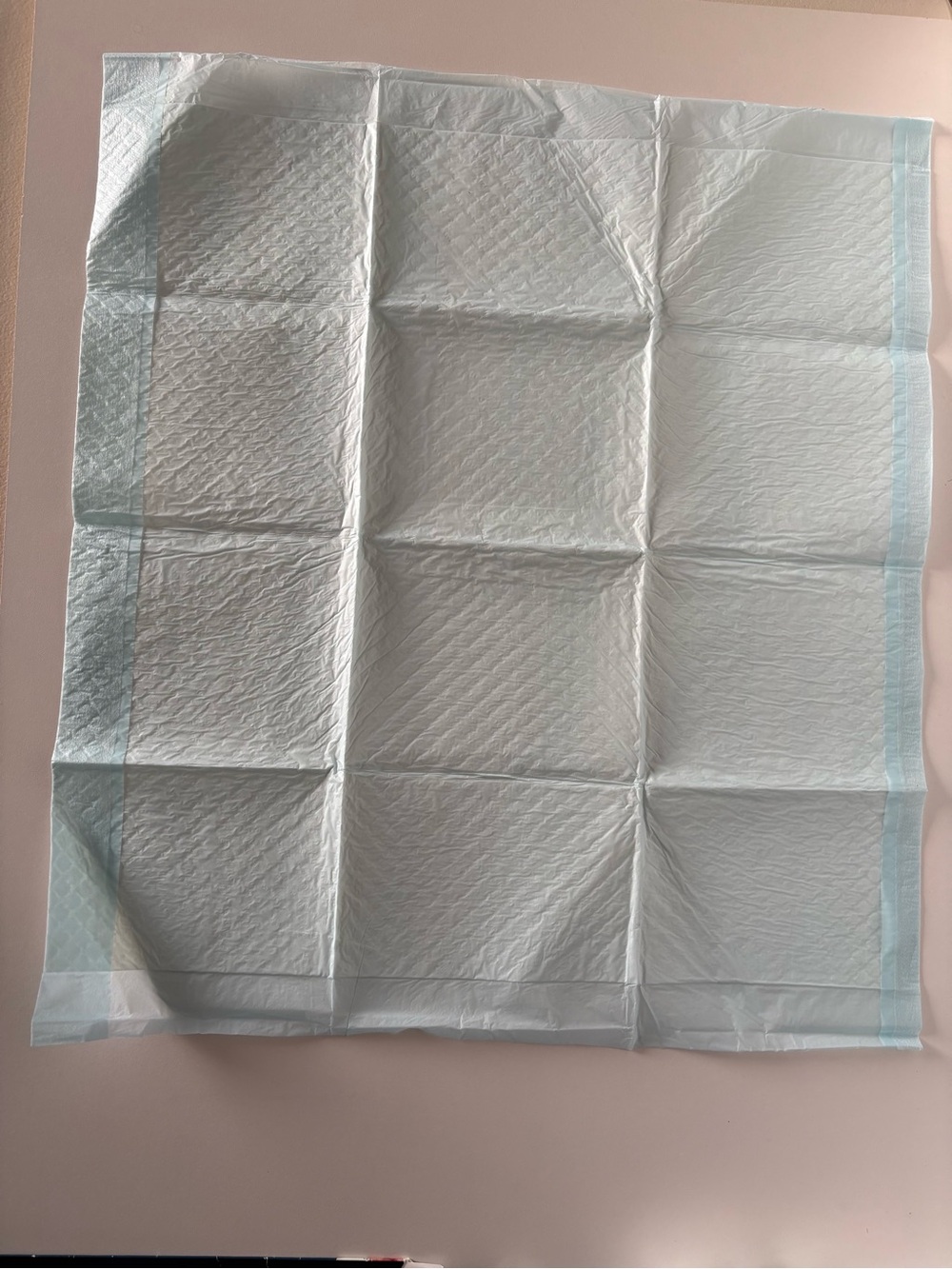 Disposable Dog Training Pad - White with Light Blue Border 17 in X 25 in 100 ct